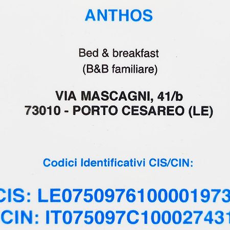 Bed Anthos Porto Cesareo Exterior foto